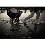 dailyPhoto40